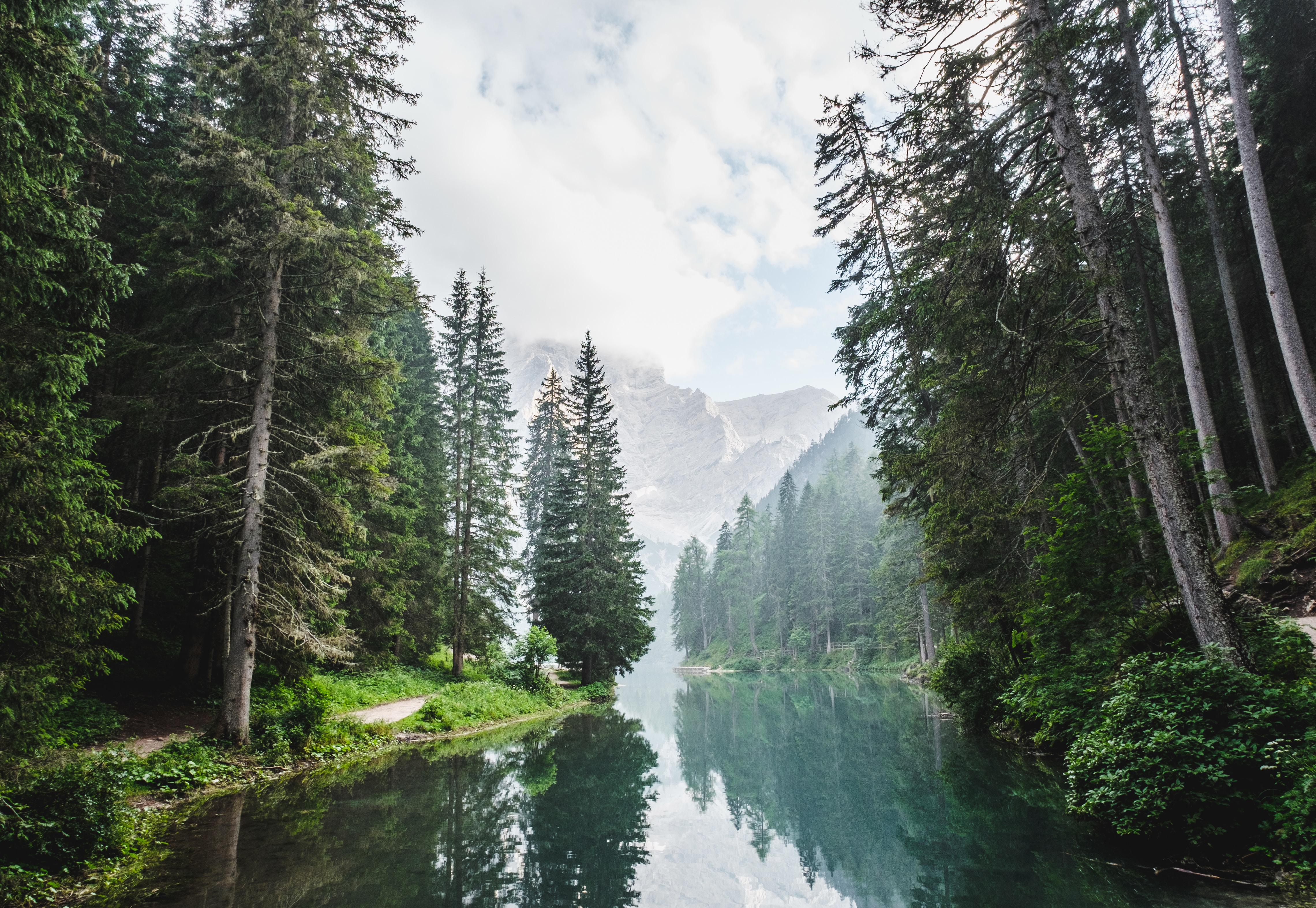Natur pur: Wald, Berge, ein ruhiger Fluss